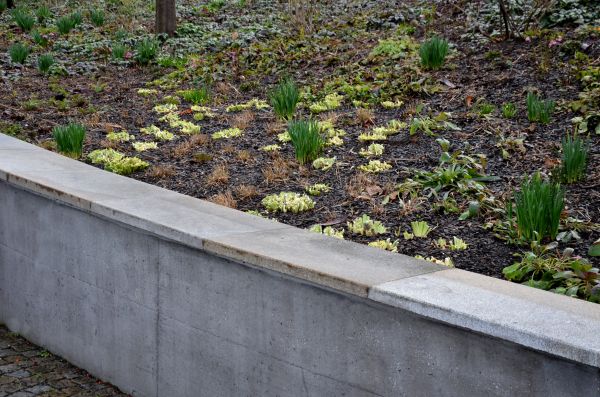 Cost of Concrete Wall Construction in Palatine