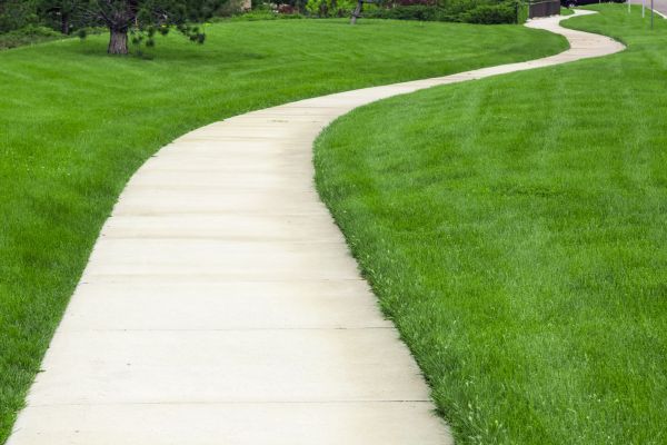 Cost of Sidewalk Paving in Palatine