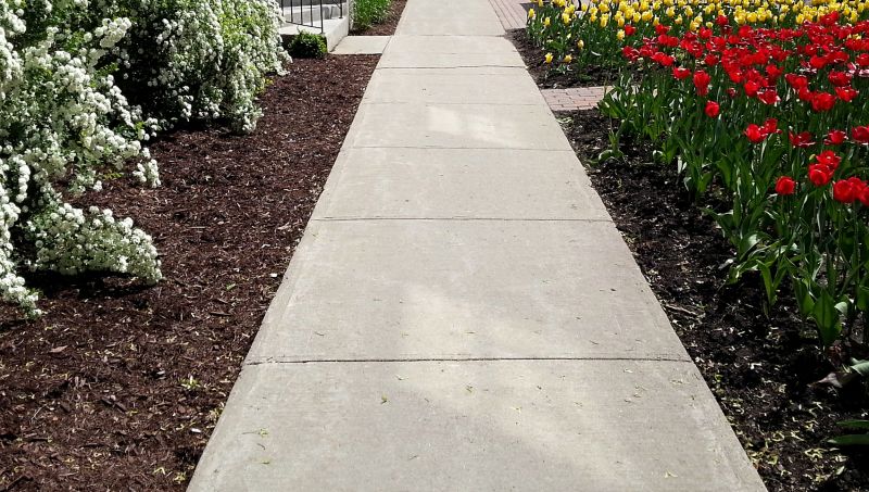 Cement Border Installation
